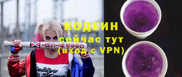 тгк Каменка