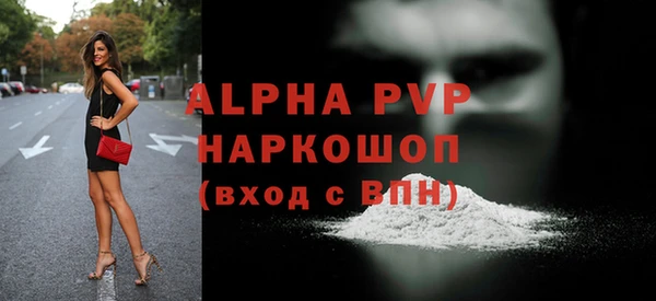 тгк Каменка