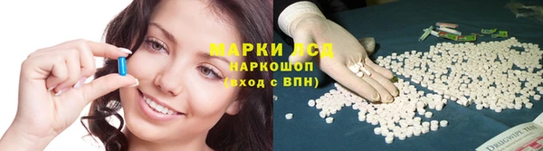 тгк Каменка
