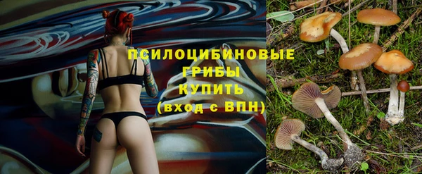 тгк Каменка