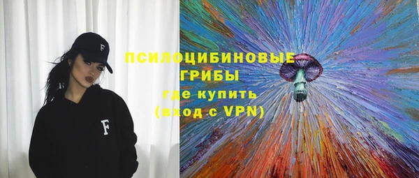 тгк Каменка