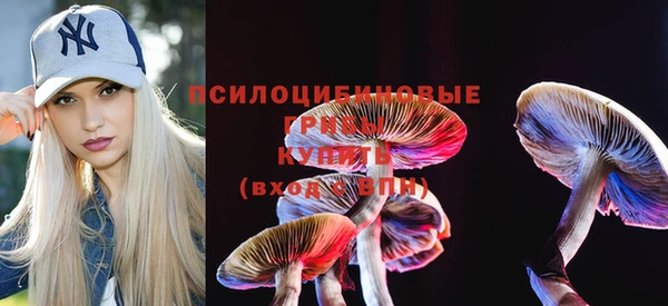 тгк Каменка