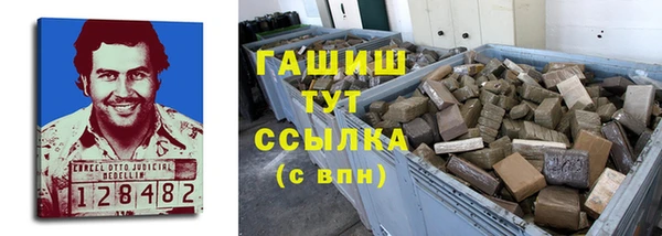 тгк Каменка