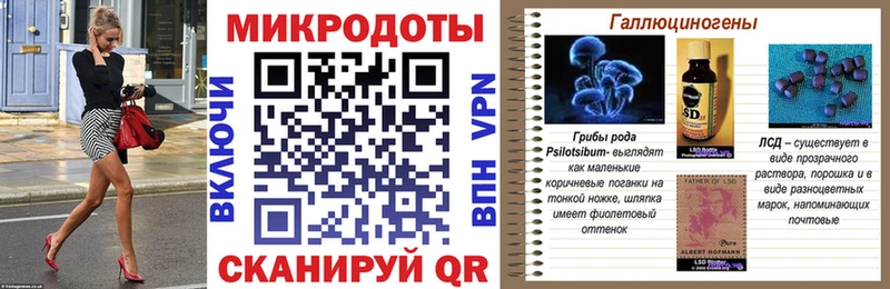 Галлюциногенные грибы Psilocybe  Москва 